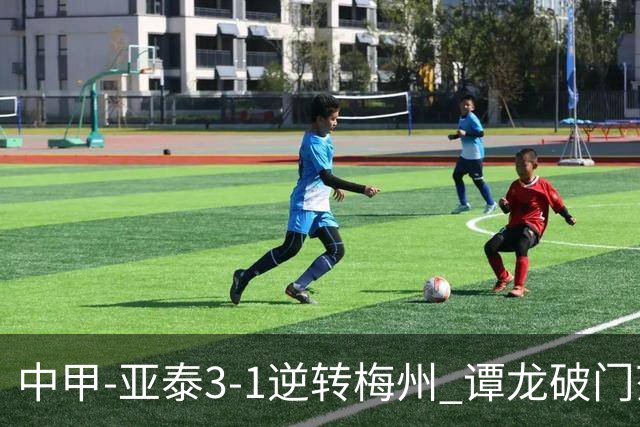中甲-亚泰3-1逆转梅州 谭龙破门范厚泰造余炜廉乌龙 梅州仍旧垫底